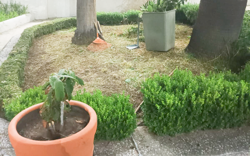 jardineria1